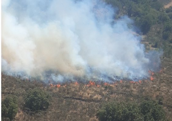 Incendio forestal en Barruecopardo.