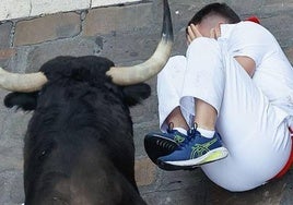 Un mozo se tapa ante un toro en el encierro.