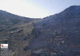 Imagen del terreno calcinado en Navalmoral, proporcionada por Naturaleza Castilla y León.
