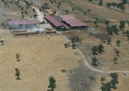 Imagen de la superficie calcinada por el fueg en la dehesa Hernandinos.