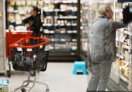 ¿Ha sufrido en su bolsillo la pronunciada subida de la cesta de la compra que indica el IPC?