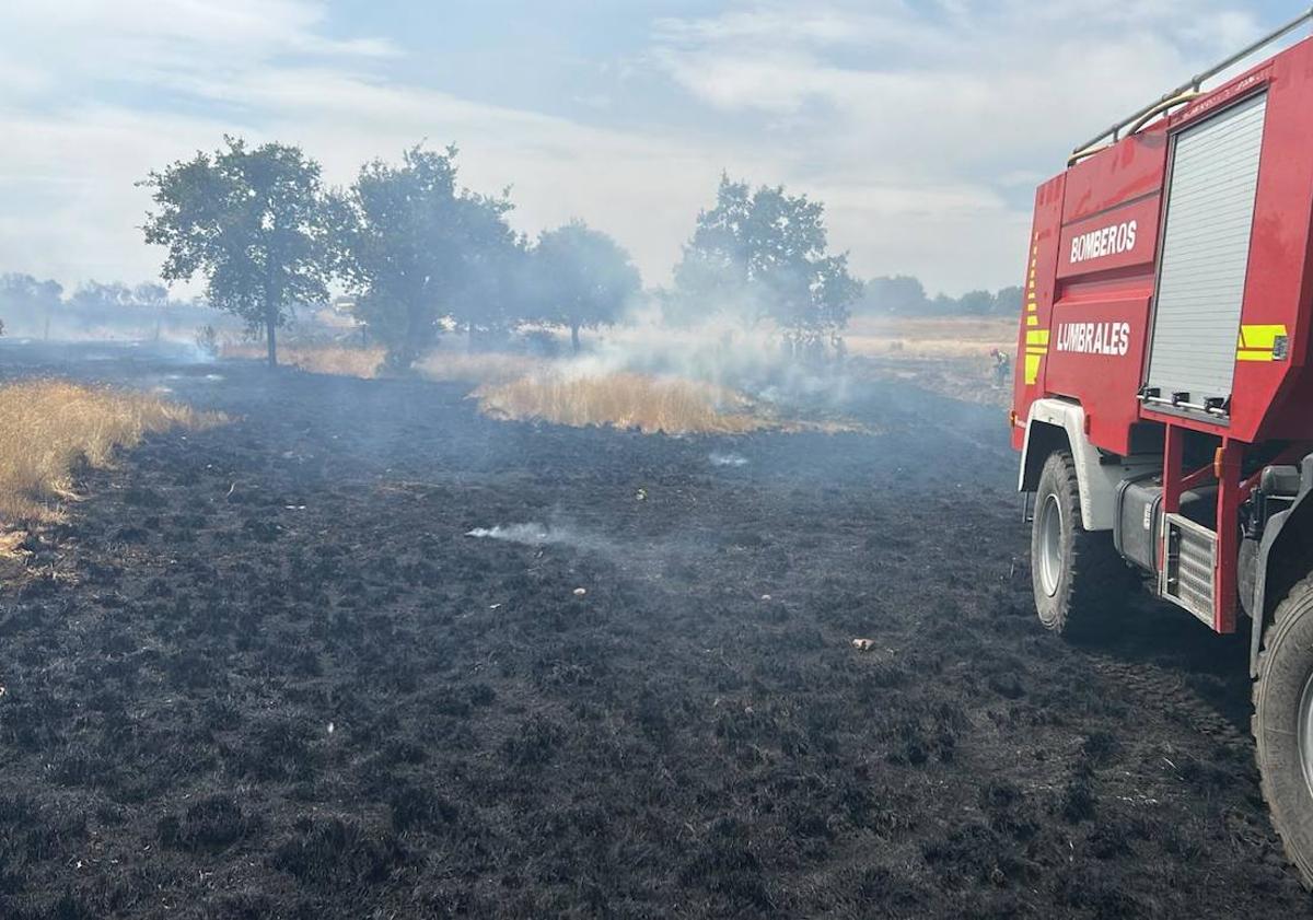 Imagen principal - Controlado el incendio en Castillejo de Martín Viejo tras cinco horas