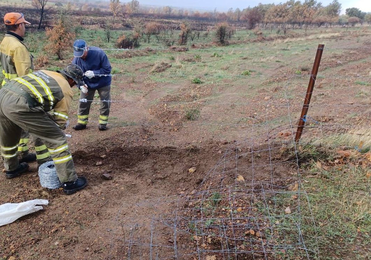 Trabajos de recuperación durante los dias posteriores al incendio.