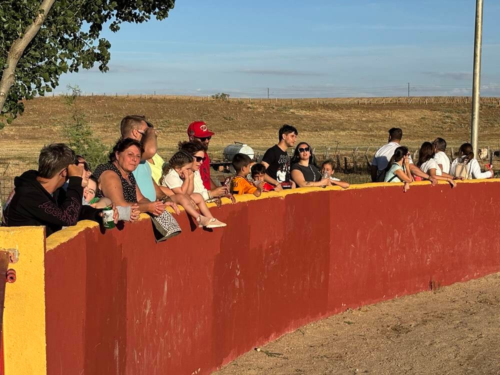 Una soleada tarde taurina compartida entre los vecinos de Palaciosrubios