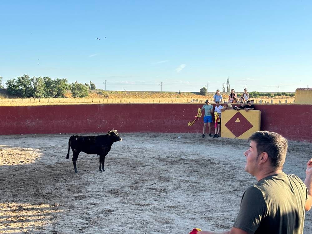 Una soleada tarde taurina compartida entre los vecinos de Palaciosrubios
