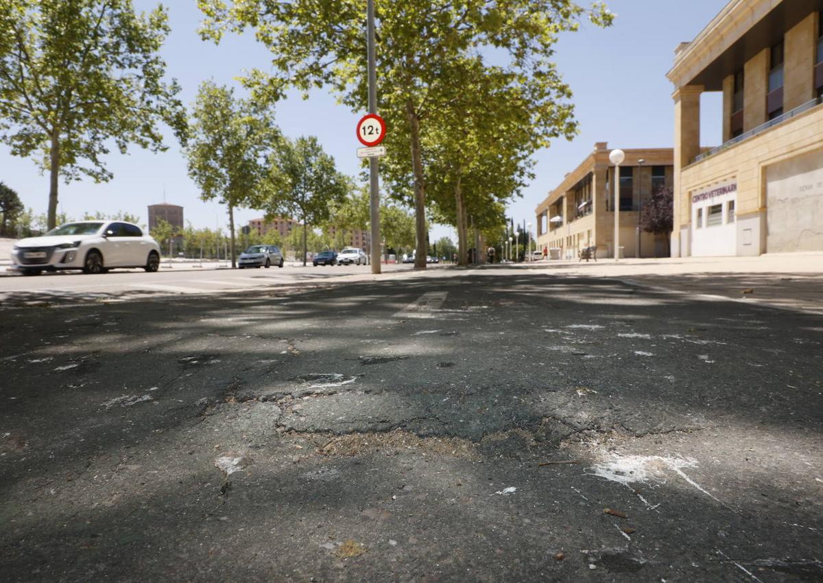 Imagen secundaria 1 - Deterioro de suelo y pintura en la zona de los huertos (arriba), baches en la avenida de San Agutín (izquierda) y en la avenida de Los Cipreses.