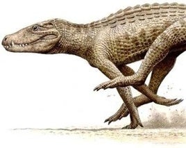 El temible 'velociraptor' salmantino que reinaba en el Tormes