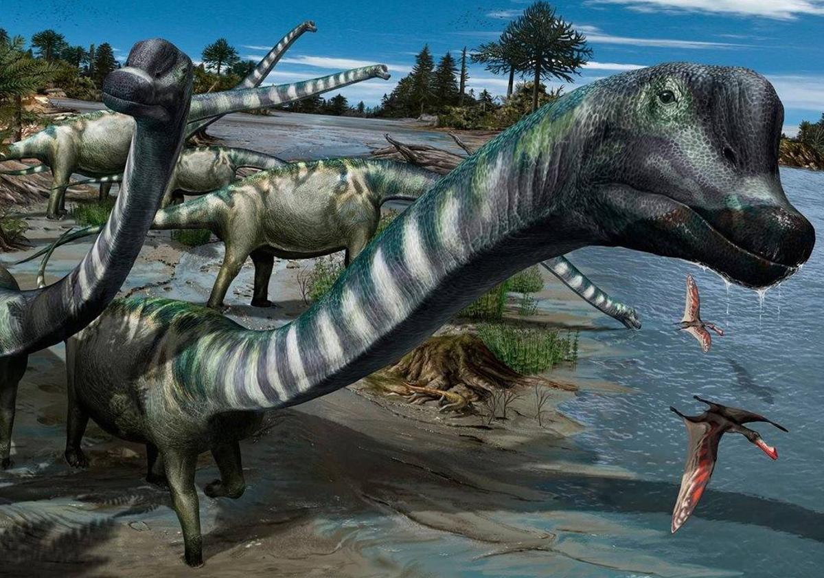 Imagen principal - FOTO 1 - Europatitan easwoodi.  En la época de los dinosaurios, una de las especies más destacadas fue descubierta entre los años 2003 y 2006 en la sierra burgalesa de La Demanda. Con 35 toneladas de peso y 27 metros de largo de los cuales hasta 10 podían pertenecer a su cuello, este dinosaurio es el más alto de Europa descubierto hasta la fecha. Habitó la Península Ibérica hace 125 millones de años.  FOTO 2 - Stegosaurus ungulatus.  Estos gigantes alcanzaron los 9 metros de longitud en la actual península Ibérica a finales del período Jurásico, hace aproximadamente entre 156 y 144 millones de años. Fue hallado en Casal Novo y Vale Pombas (Portugal).  FOTO 3 - Ceratosaurus . nasicornis.  Uno de los primeros dinosaurios descritos en la historia de la paleontología lucía un cuerno que lucían en la parte superior delantera del hocico. Midió cerca de 6 metros y alcanzó la media tonelada de peso.