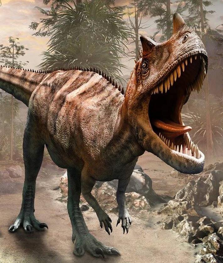 Imagen secundaria 2 - FOTO 1 - Europatitan easwoodi.  En la época de los dinosaurios, una de las especies más destacadas fue descubierta entre los años 2003 y 2006 en la sierra burgalesa de La Demanda. Con 35 toneladas de peso y 27 metros de largo de los cuales hasta 10 podían pertenecer a su cuello, este dinosaurio es el más alto de Europa descubierto hasta la fecha. Habitó la Península Ibérica hace 125 millones de años.  FOTO 2 - Stegosaurus ungulatus.  Estos gigantes alcanzaron los 9 metros de longitud en la actual península Ibérica a finales del período Jurásico, hace aproximadamente entre 156 y 144 millones de años. Fue hallado en Casal Novo y Vale Pombas (Portugal).  FOTO 3 - Ceratosaurus . nasicornis.  Uno de los primeros dinosaurios descritos en la historia de la paleontología lucía un cuerno que lucían en la parte superior delantera del hocico. Midió cerca de 6 metros y alcanzó la media tonelada de peso.
