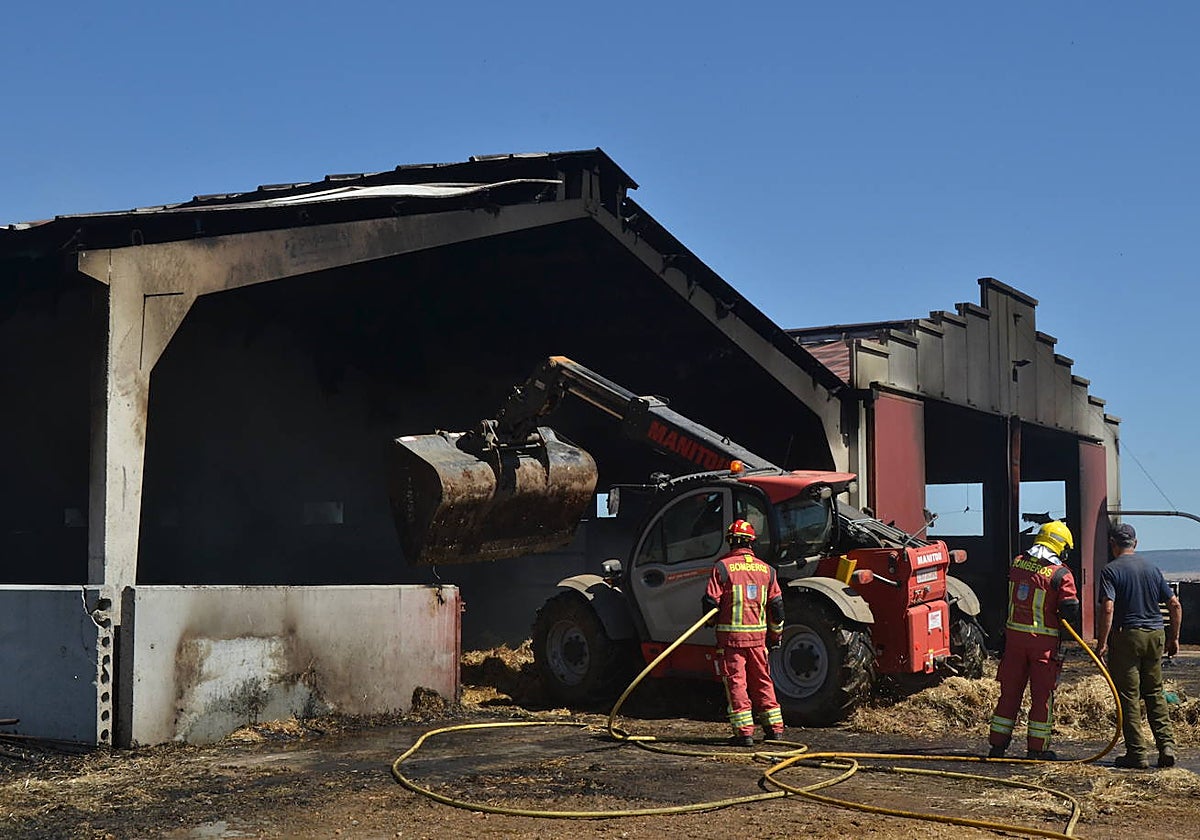 Bomberos de la Diputación trabajando en el incendio.