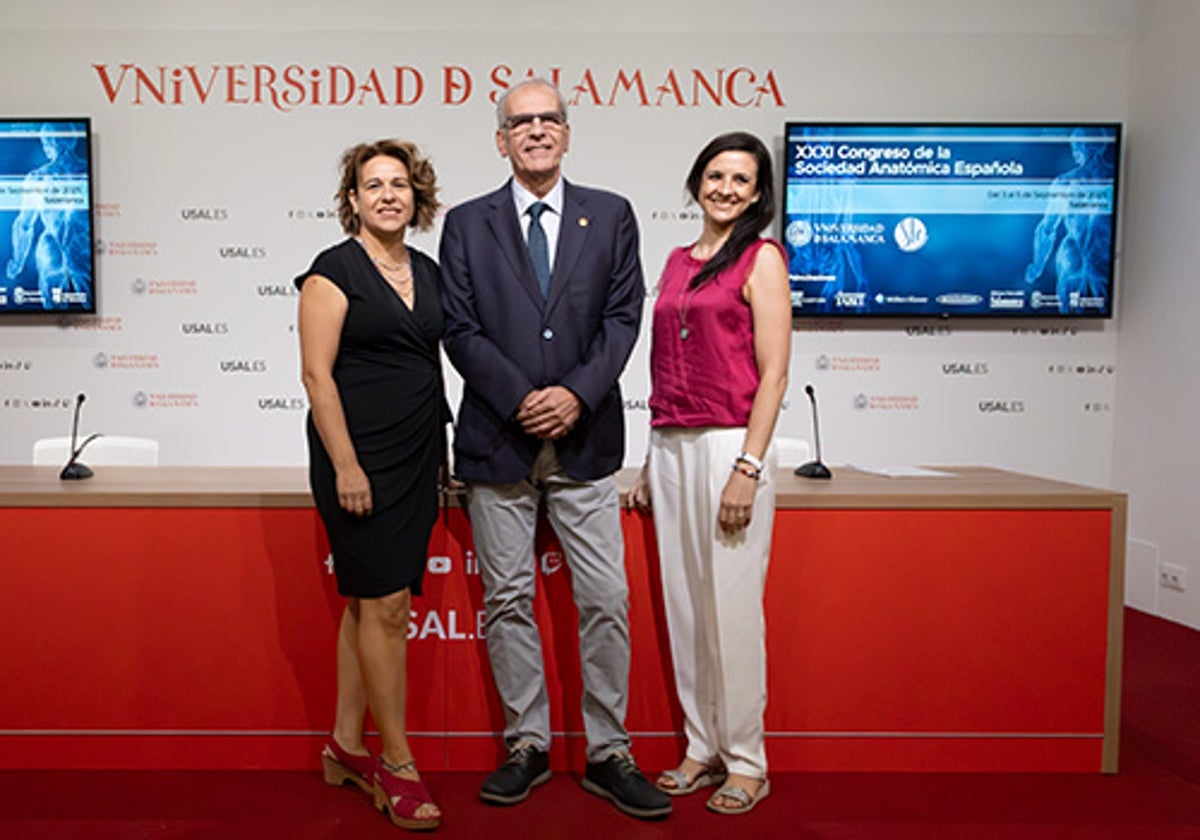 Presentación del XXXI Congreso de la Sociedad Anatómica Española.