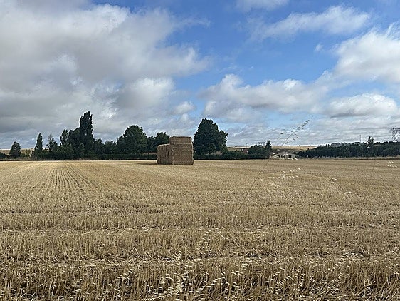 Paquetes de paja, ahora en las tierras.
