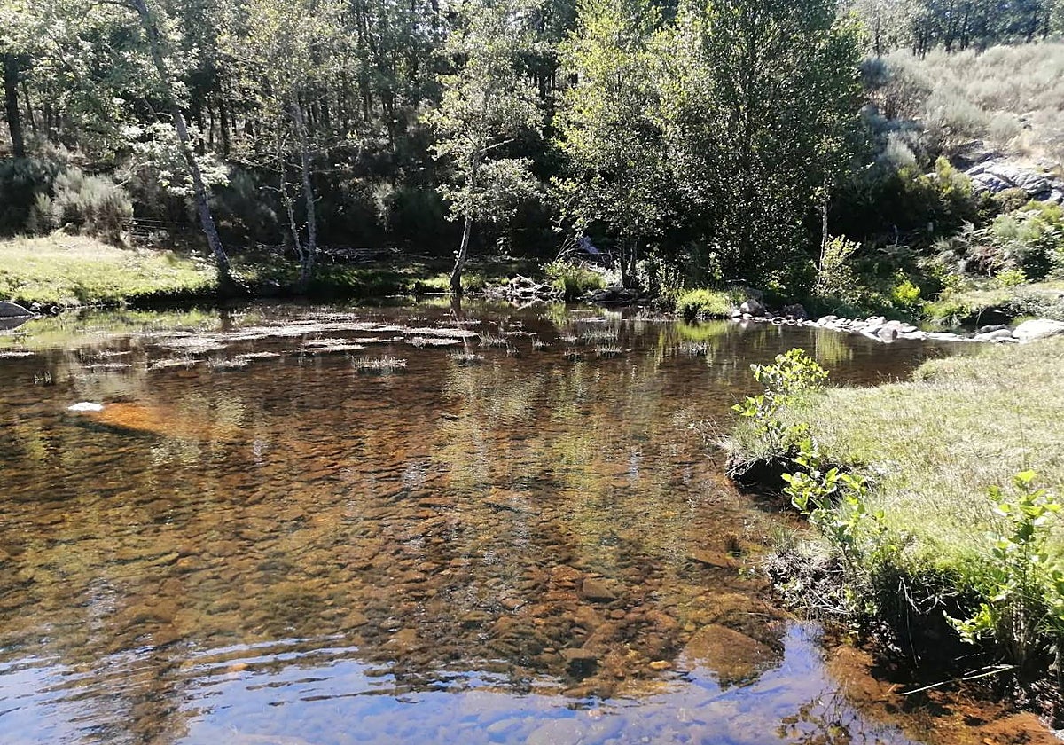 Charco Palo, en el término municipal de El Payo.