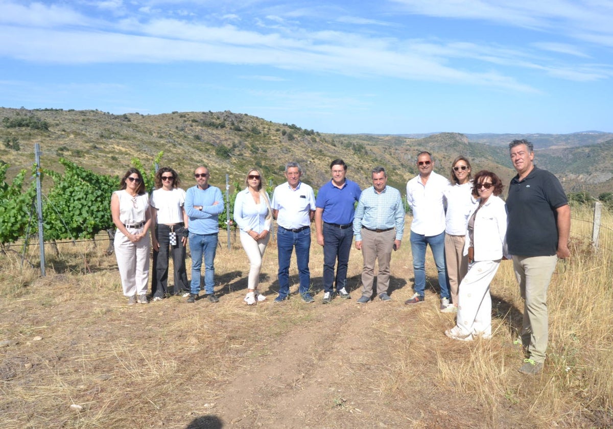 Las Arribes busca recuperar variedades únicas de uvas