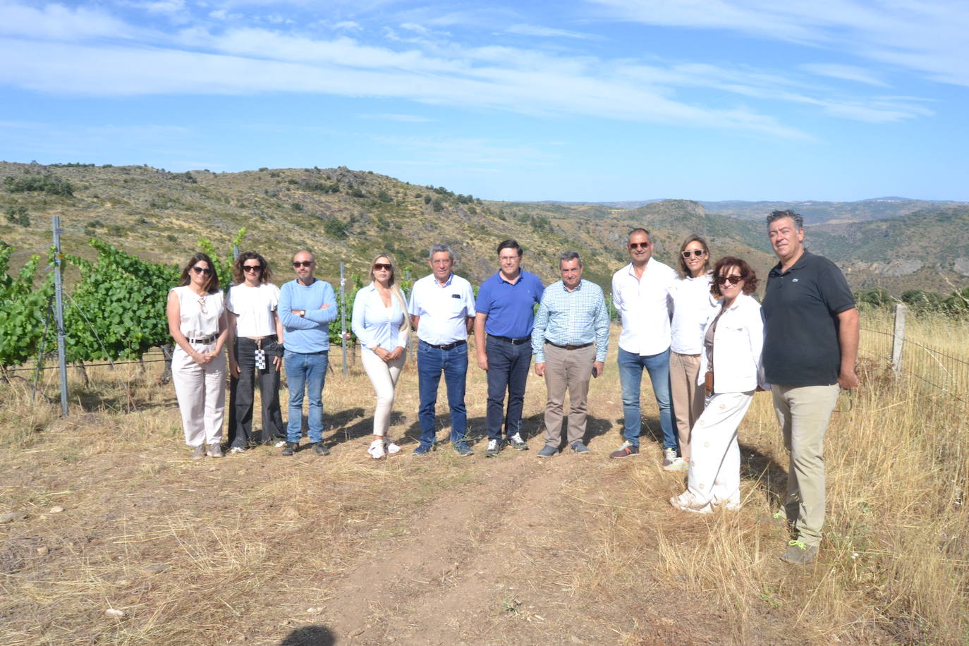 Las Arribes busca recuperar variedades únicas de uvas