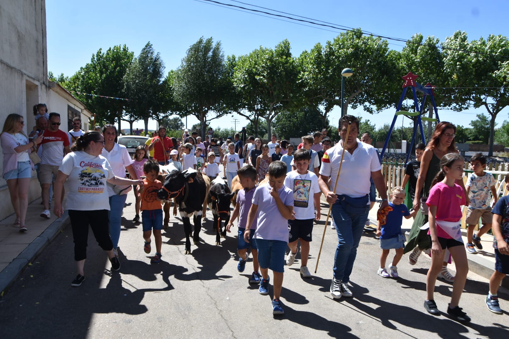 Multitudinario encierro con mini bueyes en Matilla