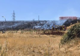 Imagen del incendio junto a la A-66.