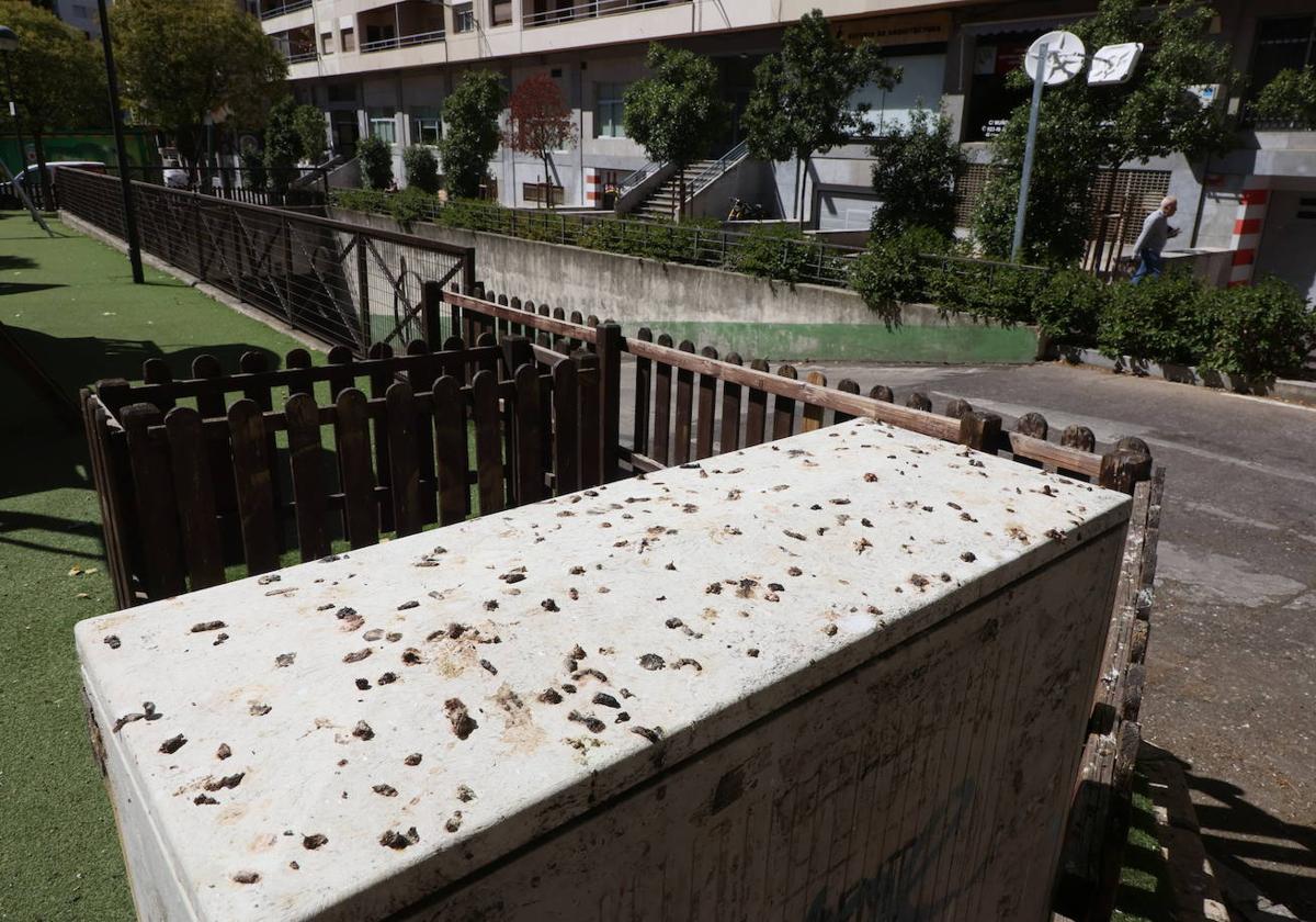 Los niños juegan, los pájaros bombardean