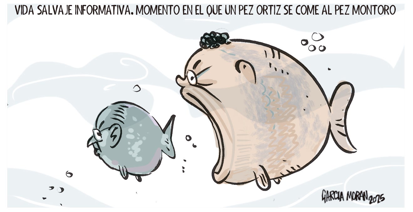 La viñeta de Morán