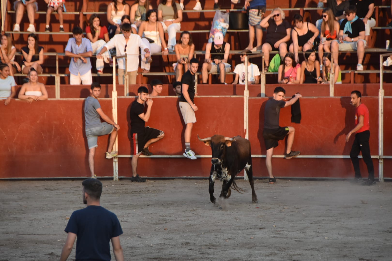 Diversión, risas y tradición taurina