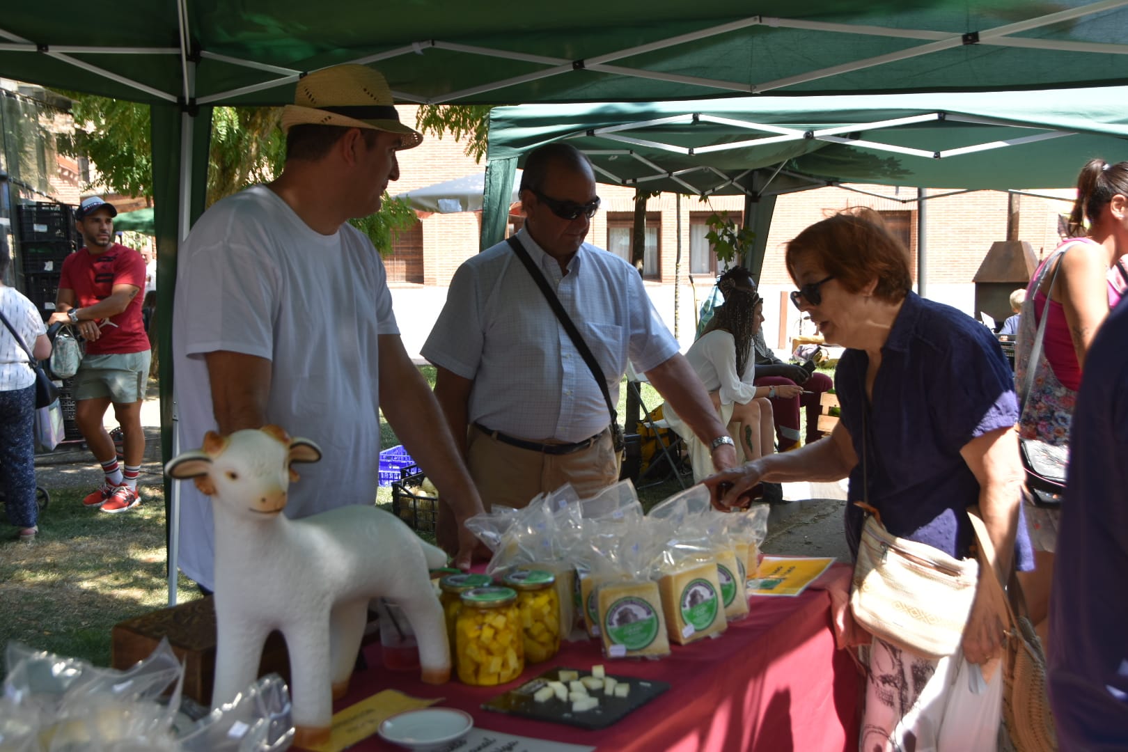 Miranda de Azán celebra su mercado más verde y creativo