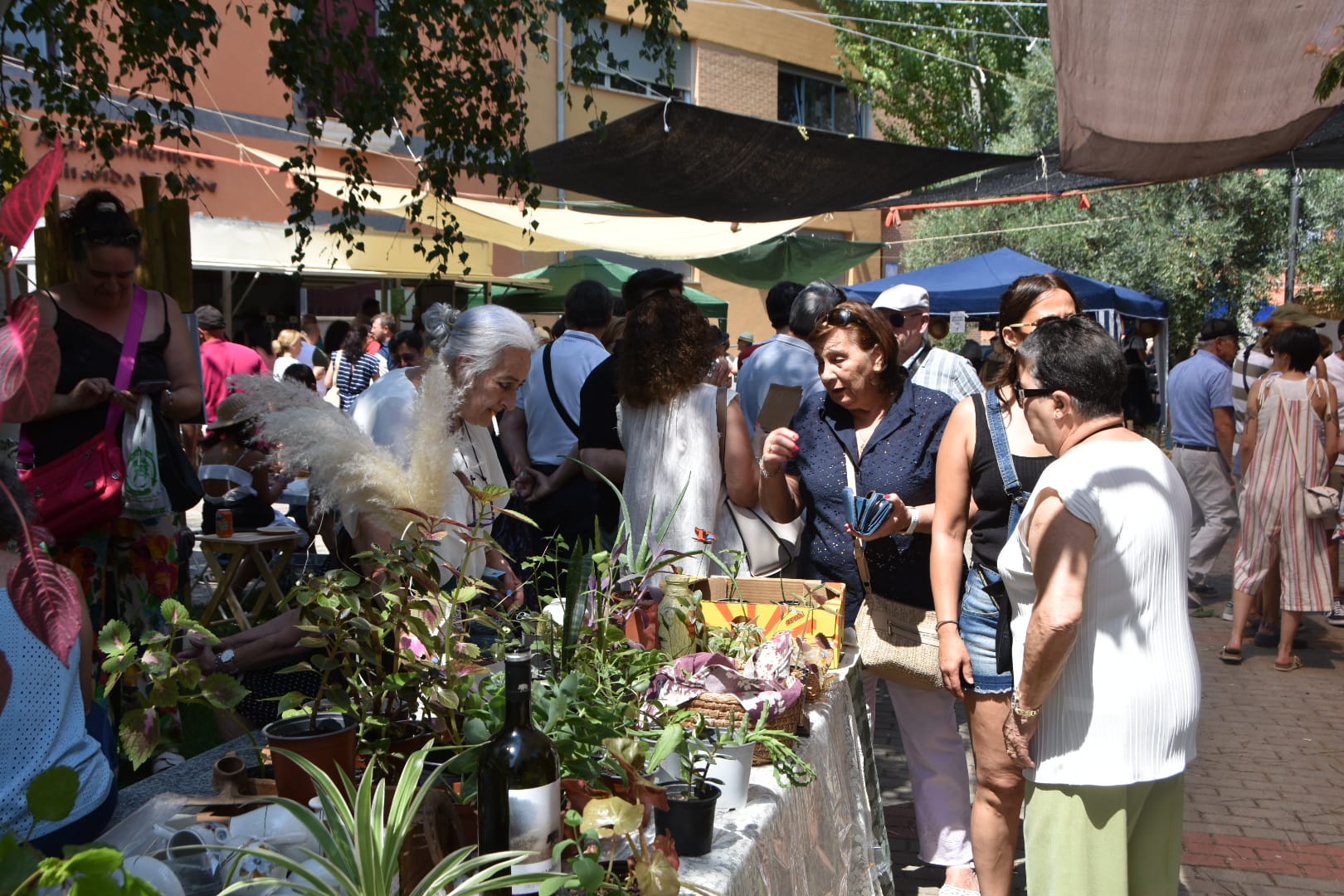 Miranda de Azán celebra su mercado más verde y creativo