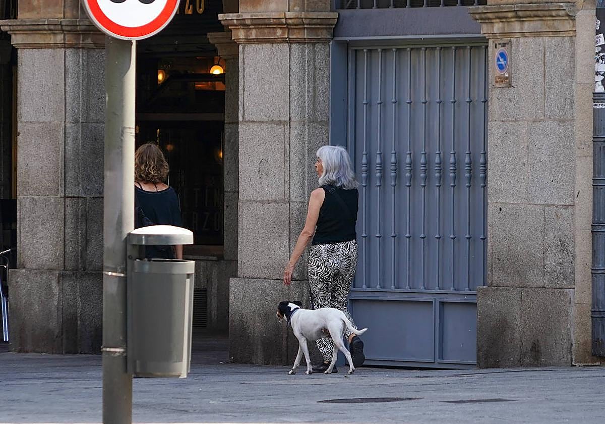 Una señora pasea a su perro por la Gran Vía de Salamanca.