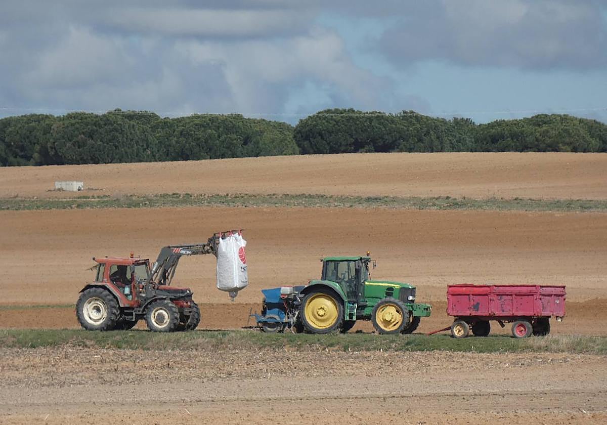 Unos agricultores ultiman una plantación a la espera de lluvias.