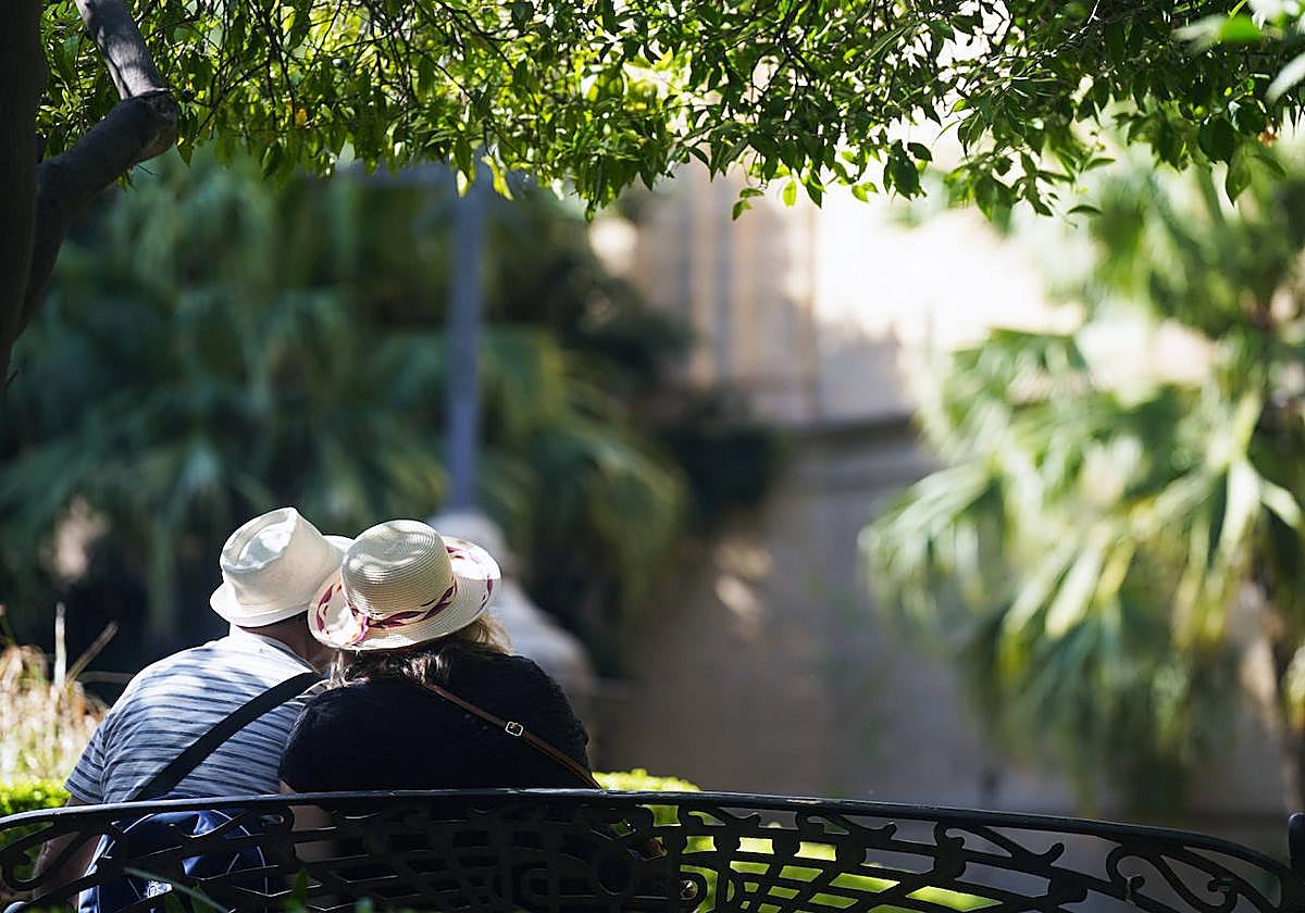 Dos personas se protegen del calor bajo un árbol.