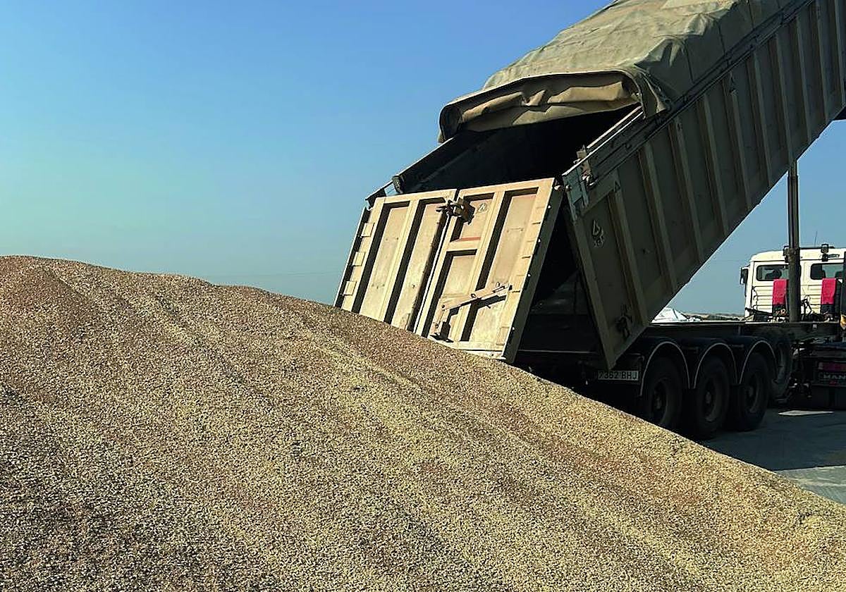 Un camión descarga trigo en La Vellés, con la cosecha a punto de finalizar.