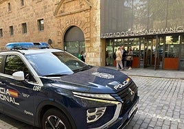 Coche de la Policía Nacional.