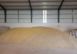 Avena guardada en un almacén de Aldeatejada.