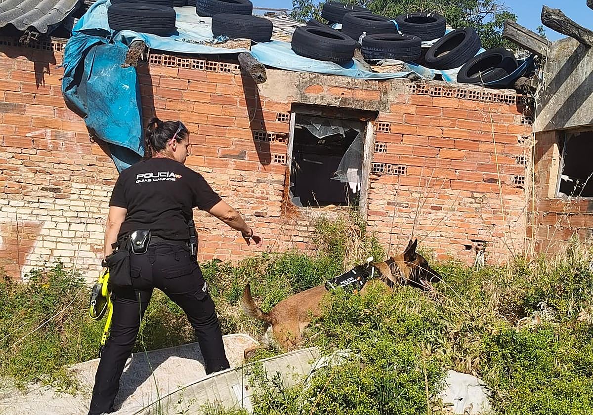 La Policía realiza labores de búsqueda.