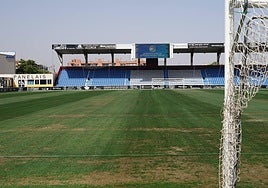 Vista del césped del Reina Sofía, donde hoy se juega el derbi frente al Salamanca UDS en la Copa RFEF.