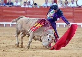Natural de Morante de la Puebla a Arrojadizo, el toro jabonero de Cuvillo al que desorejó en la Plaza Real.