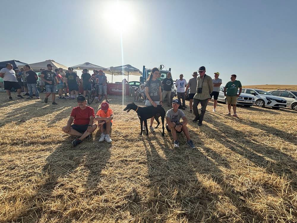 74 galgos de toda España se citan en la prueba de Cantaracillo