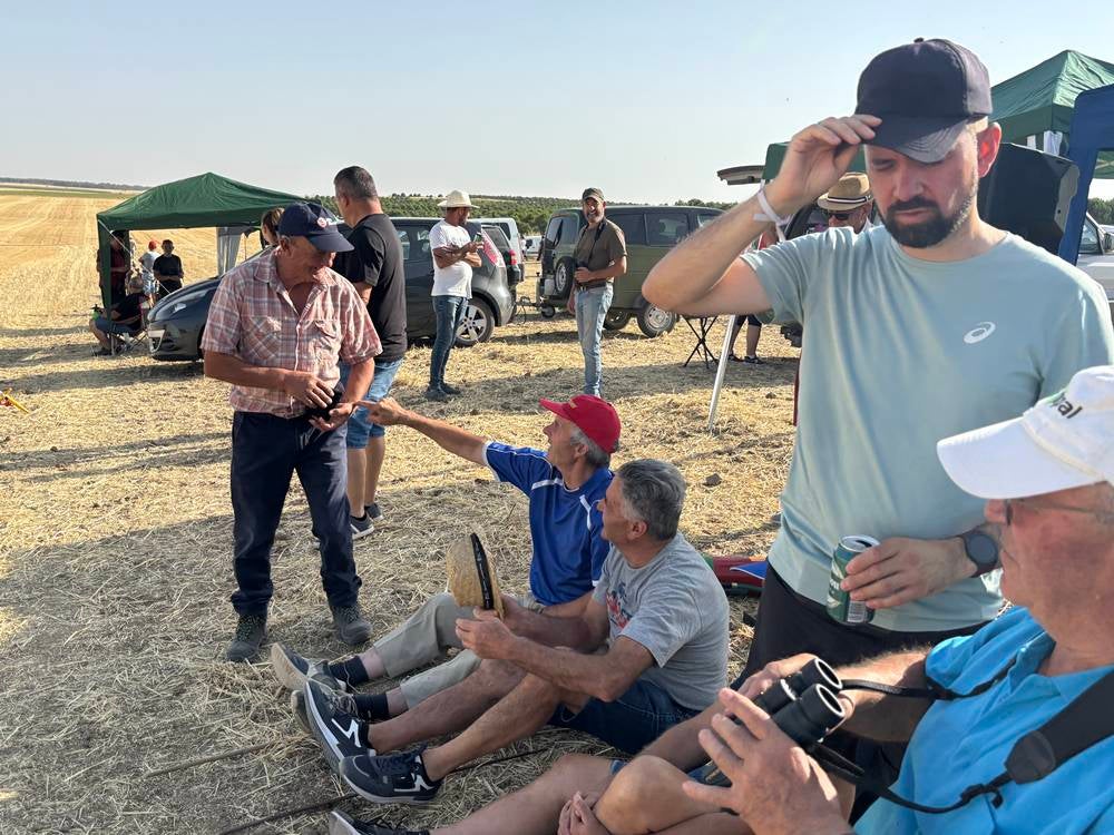 74 galgos de toda España se citan en la prueba de Cantaracillo