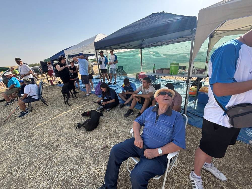 74 galgos de toda España se citan en la prueba de Cantaracillo