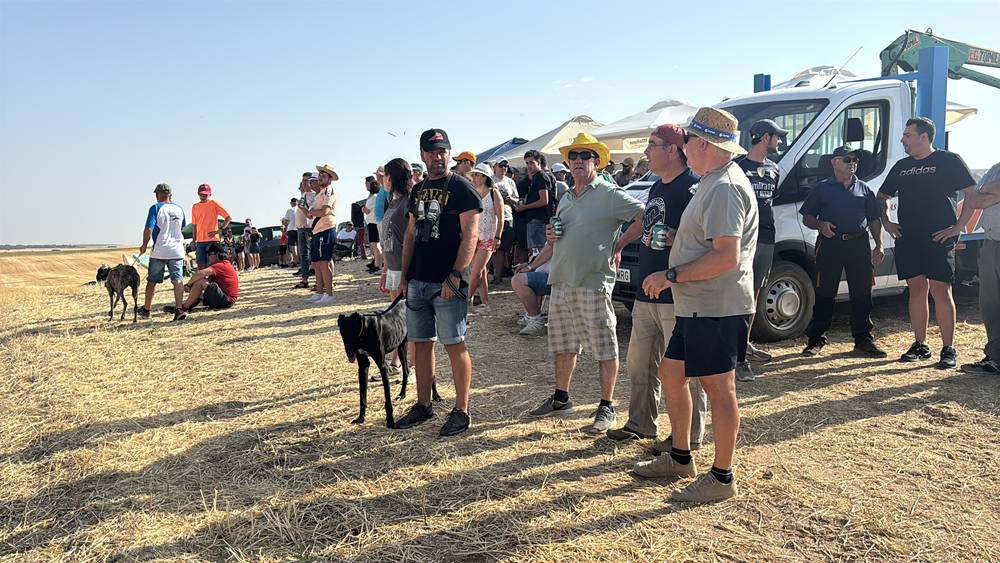 74 galgos de toda España se citan en la prueba de Cantaracillo