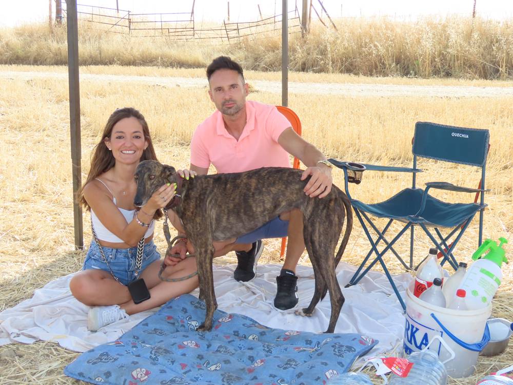 74 galgos de toda España se citan en la prueba de Cantaracillo