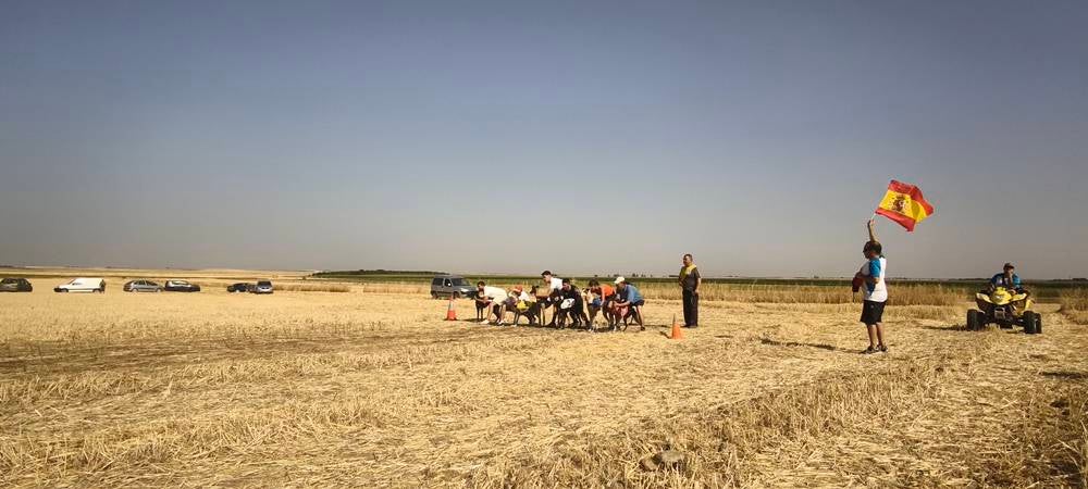 74 galgos de toda España se citan en la prueba de Cantaracillo