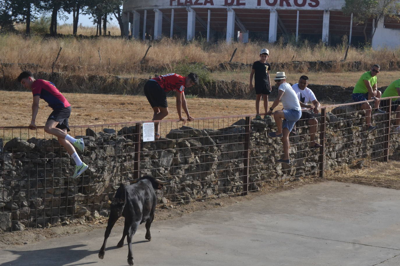 Divertido encierro en Saelices el Chico