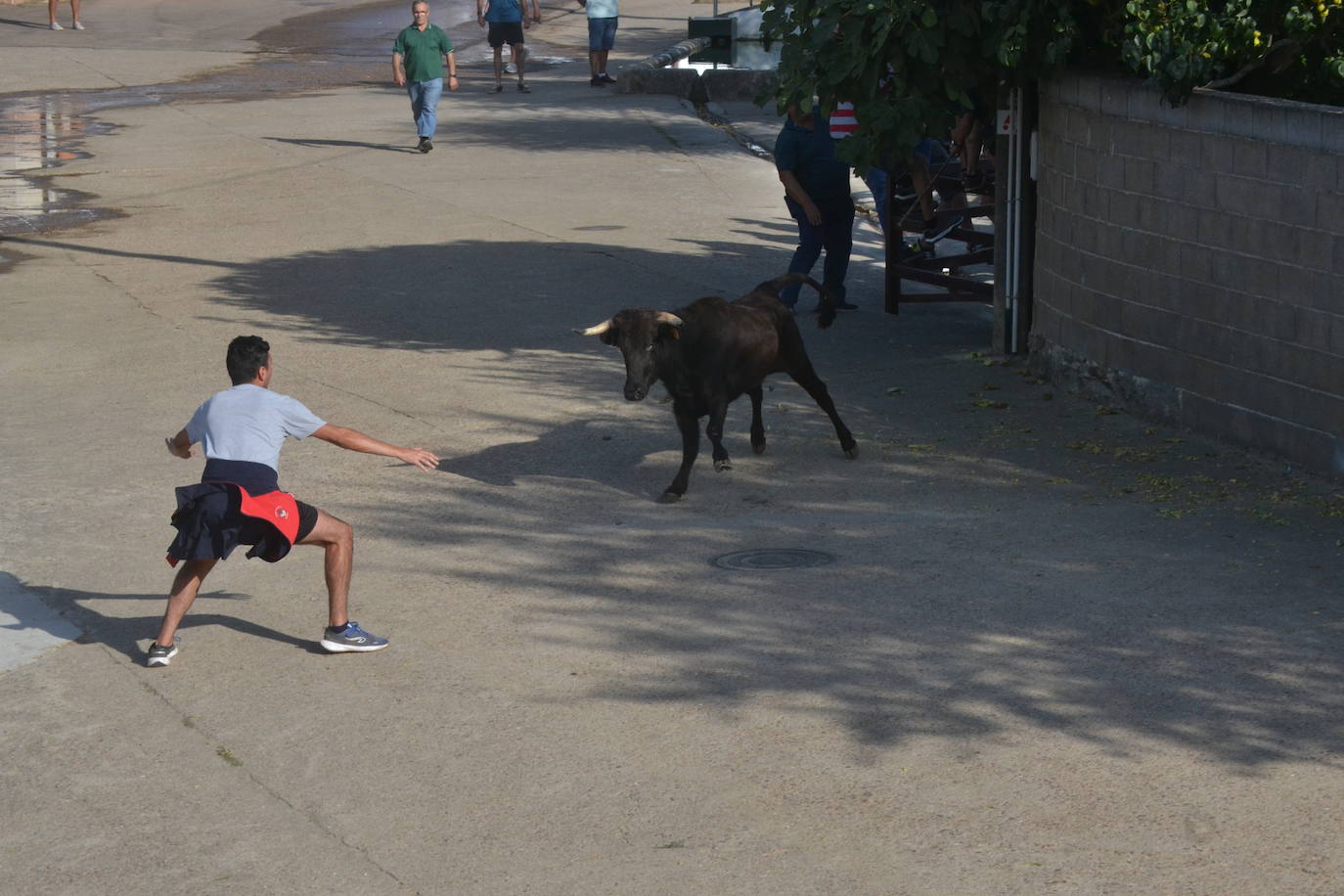 Divertido encierro en Saelices el Chico
