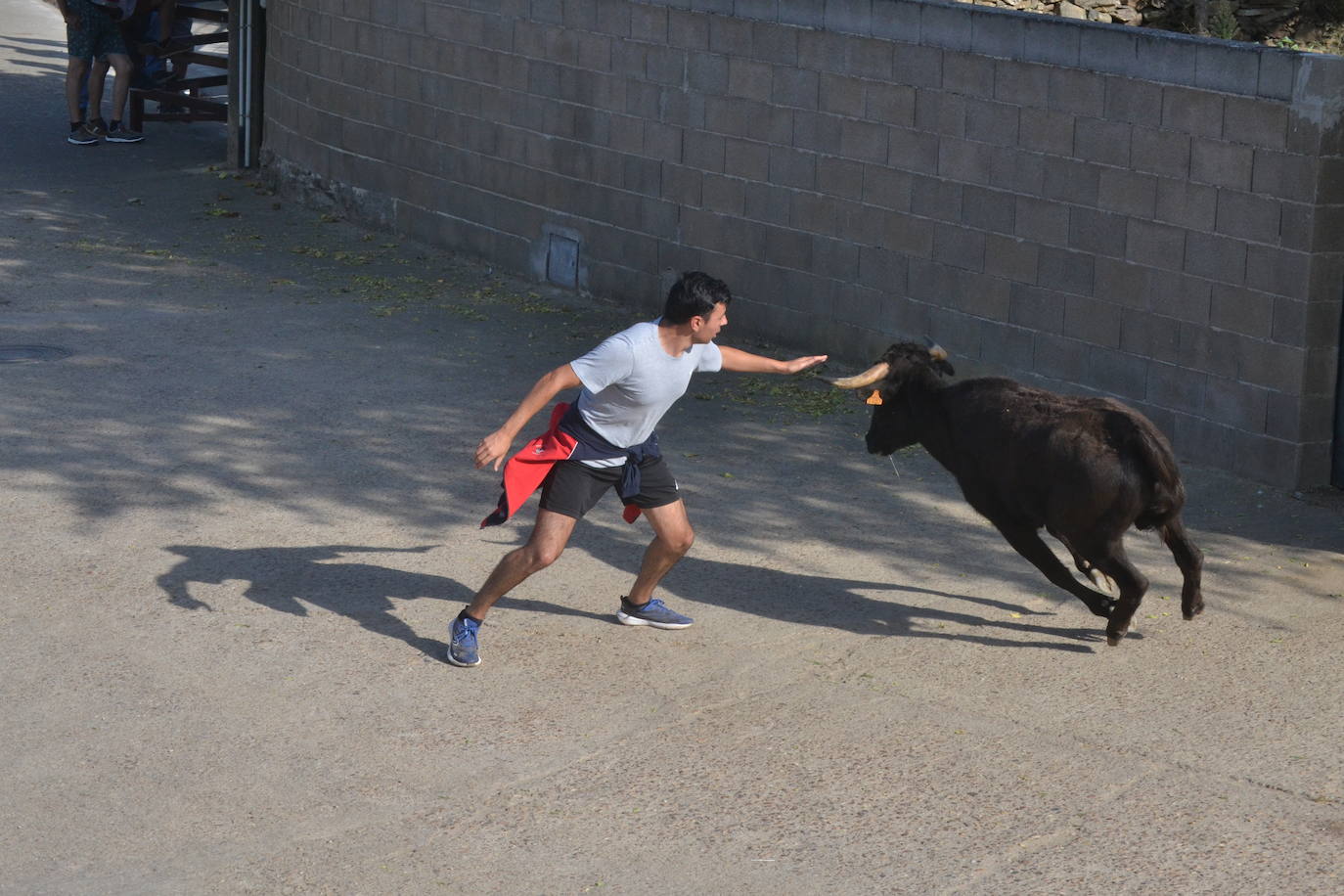 Divertido encierro en Saelices el Chico