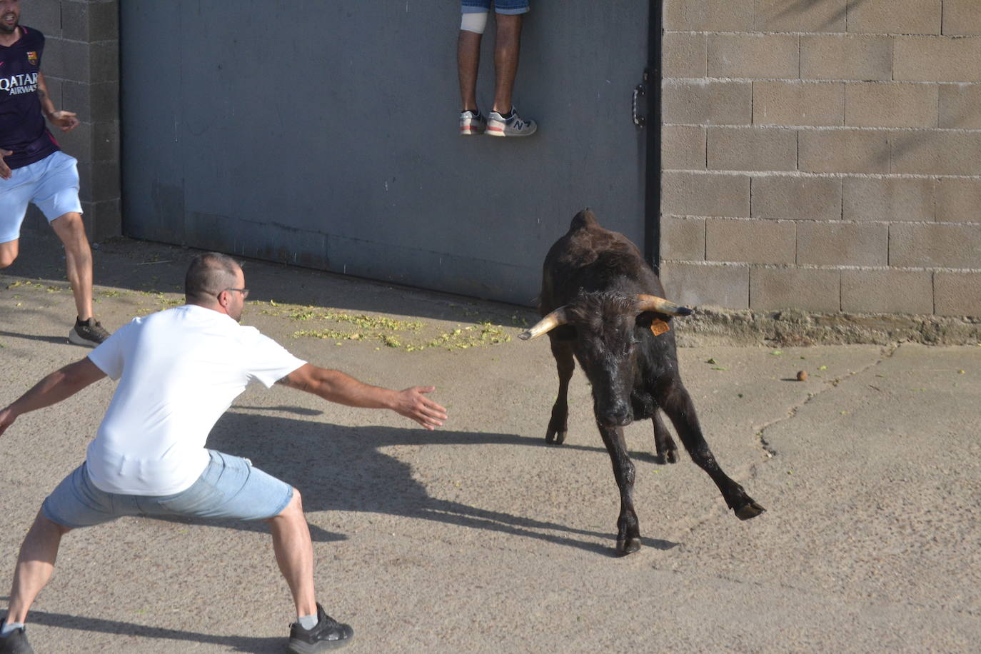Divertido encierro en Saelices el Chico