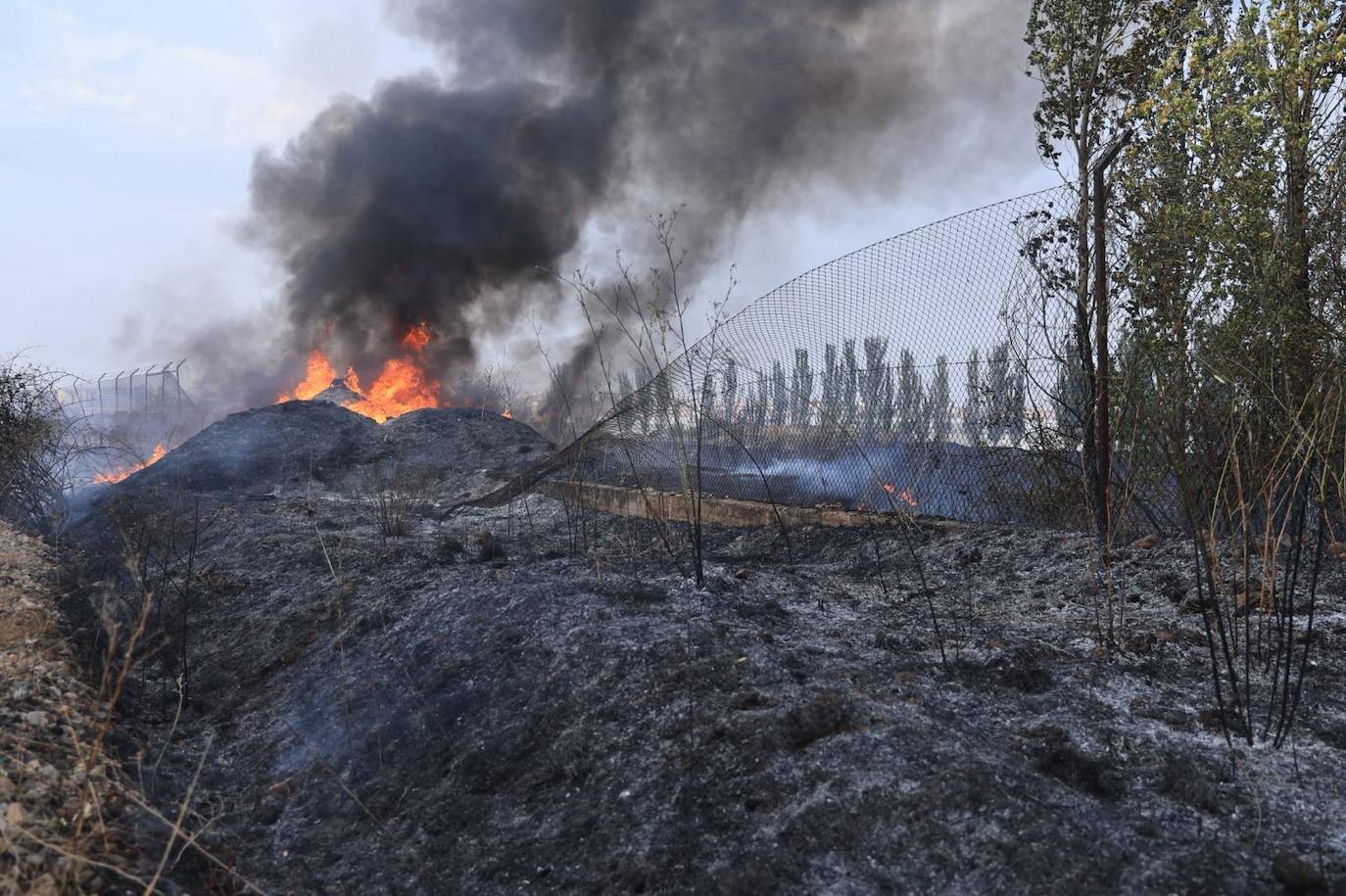 Así ha sido el espectacular despliegue por el aparatoso incendio declarado en el polígono de Los Montalvos