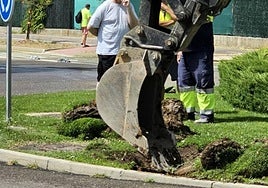 Operarios y una excavadora, en una glorieta de Carbajosa de la Sagrada.