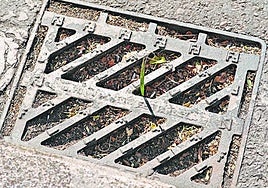 Minijardines en el alcantarillado