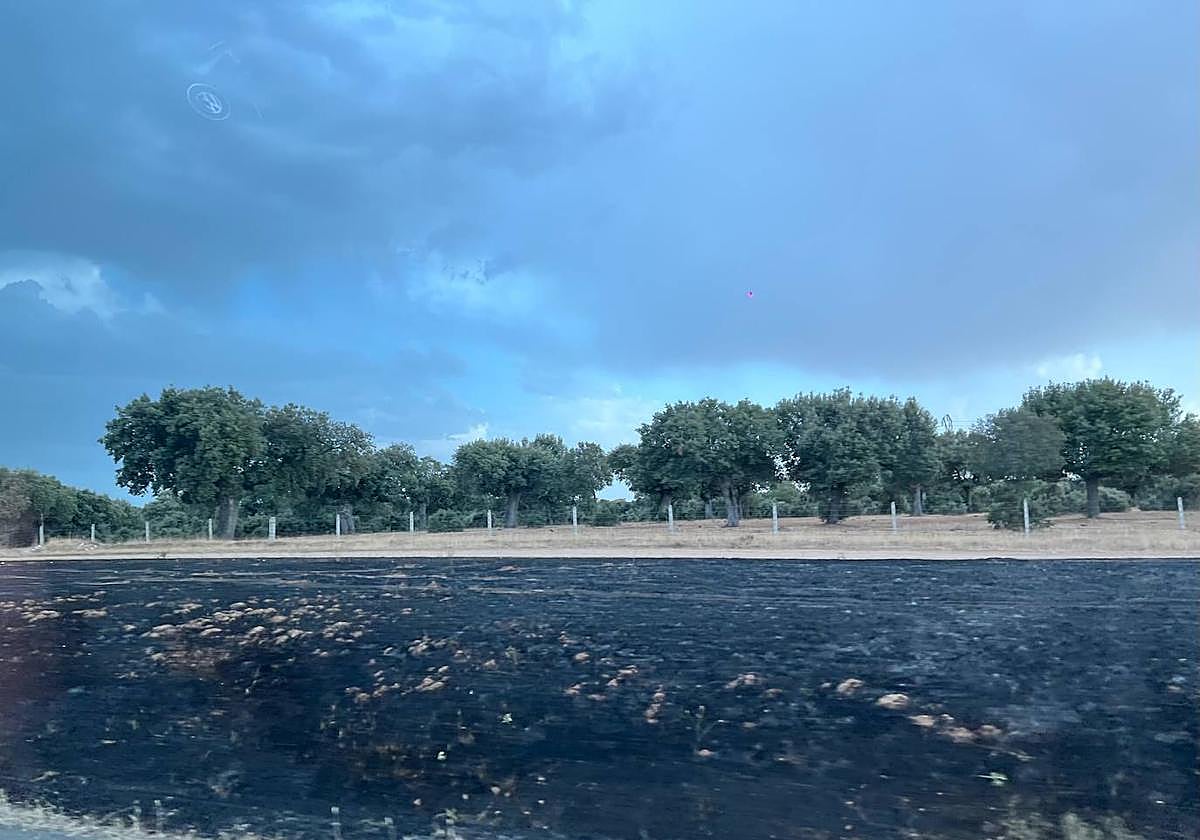 Imagen de la superficie que ha quedado calcinada con motivo del fuego originado en la moto.