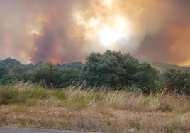 Incendio en Yeres (León).